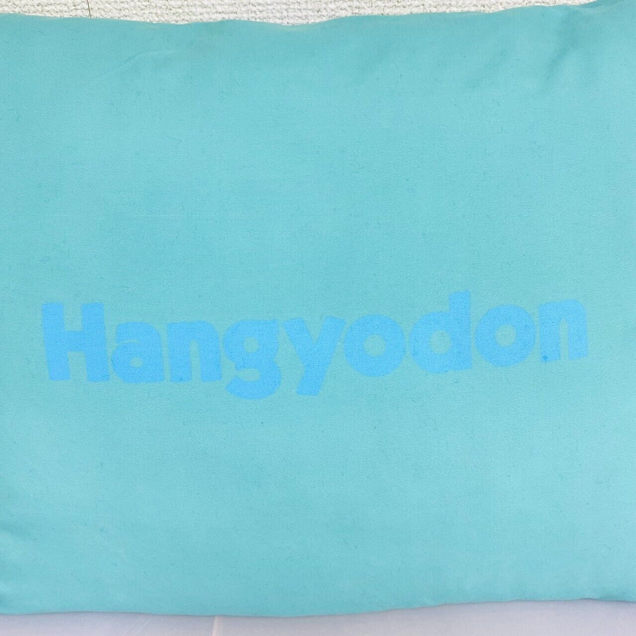 Sanrio Hangyodon Face Cushion Pillow Blue Fluffy Half-Mermaid Kawaii Character