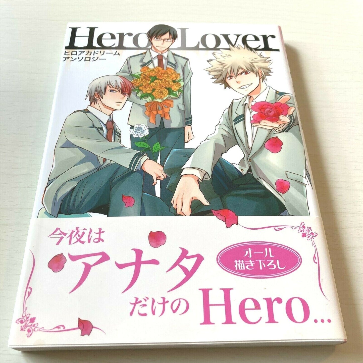 My Hero Academia Anthology Comic HeroAca Dream Anthology Hero Lover Japan JP