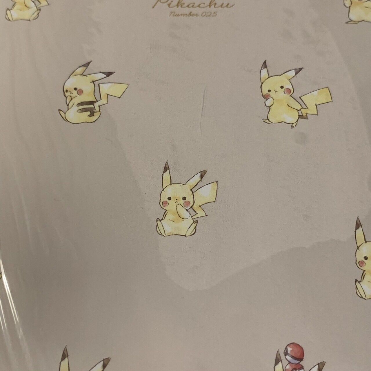 Pokémon Pikachu Schedule Book Scheduler 2022 edition B6 size Japan JP