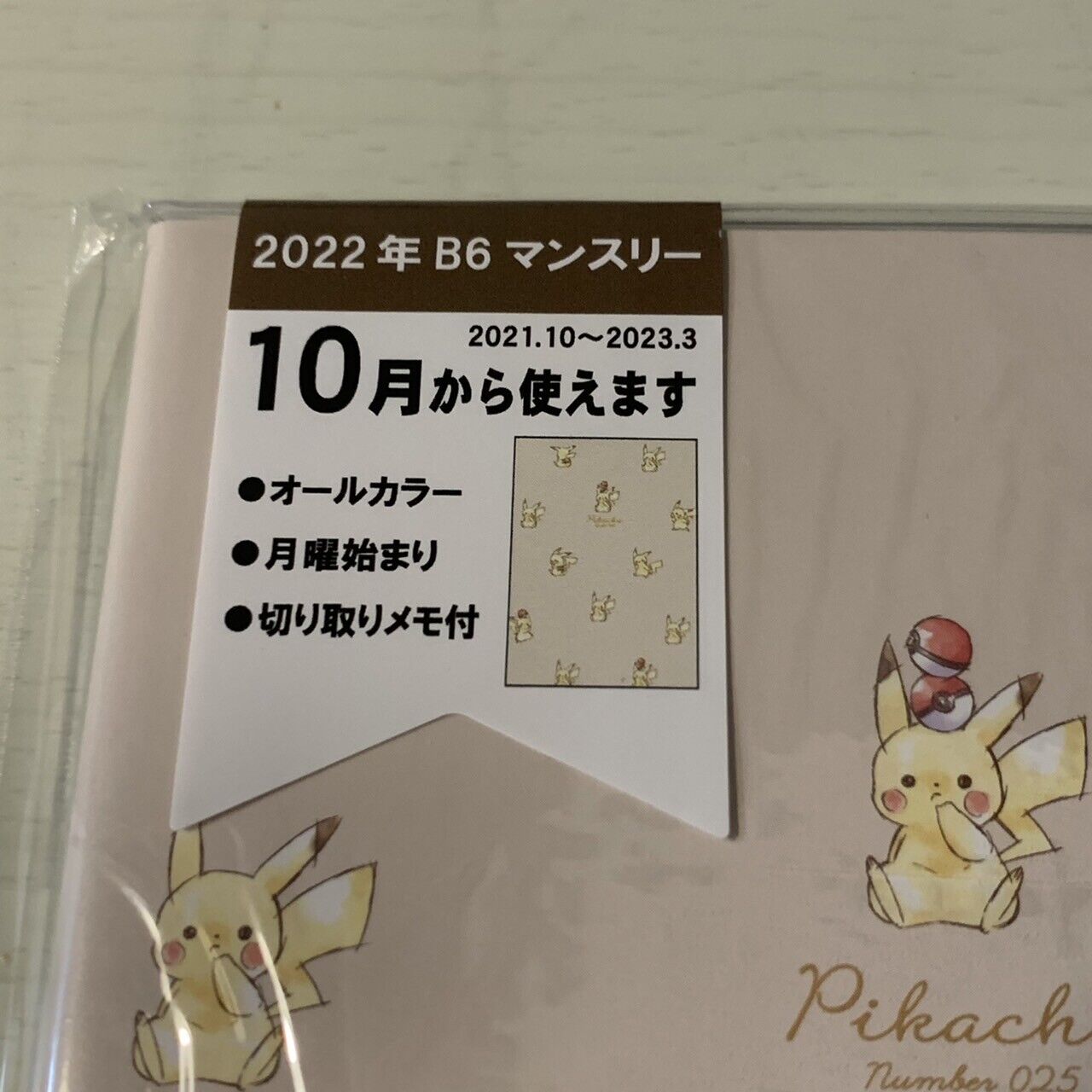 Pokémon Pikachu Schedule Book Scheduler 2022 edition B6 size Japan JP