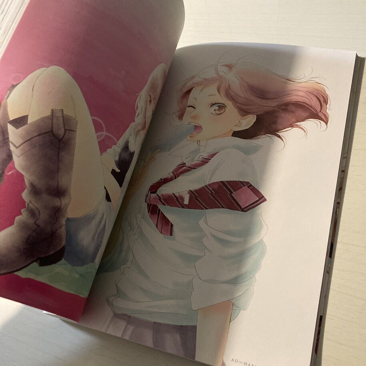 Io Sakisaka Illustrations Book " Ao Haru Ride author " Anime Manga Japan