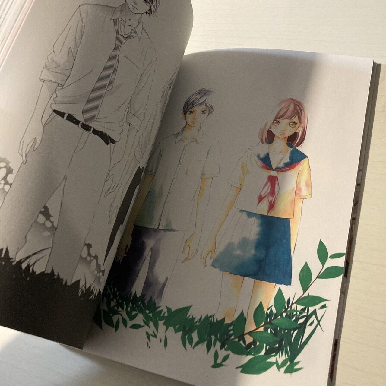 Io Sakisaka Illustrations Book " Ao Haru Ride author " Anime Manga Japan