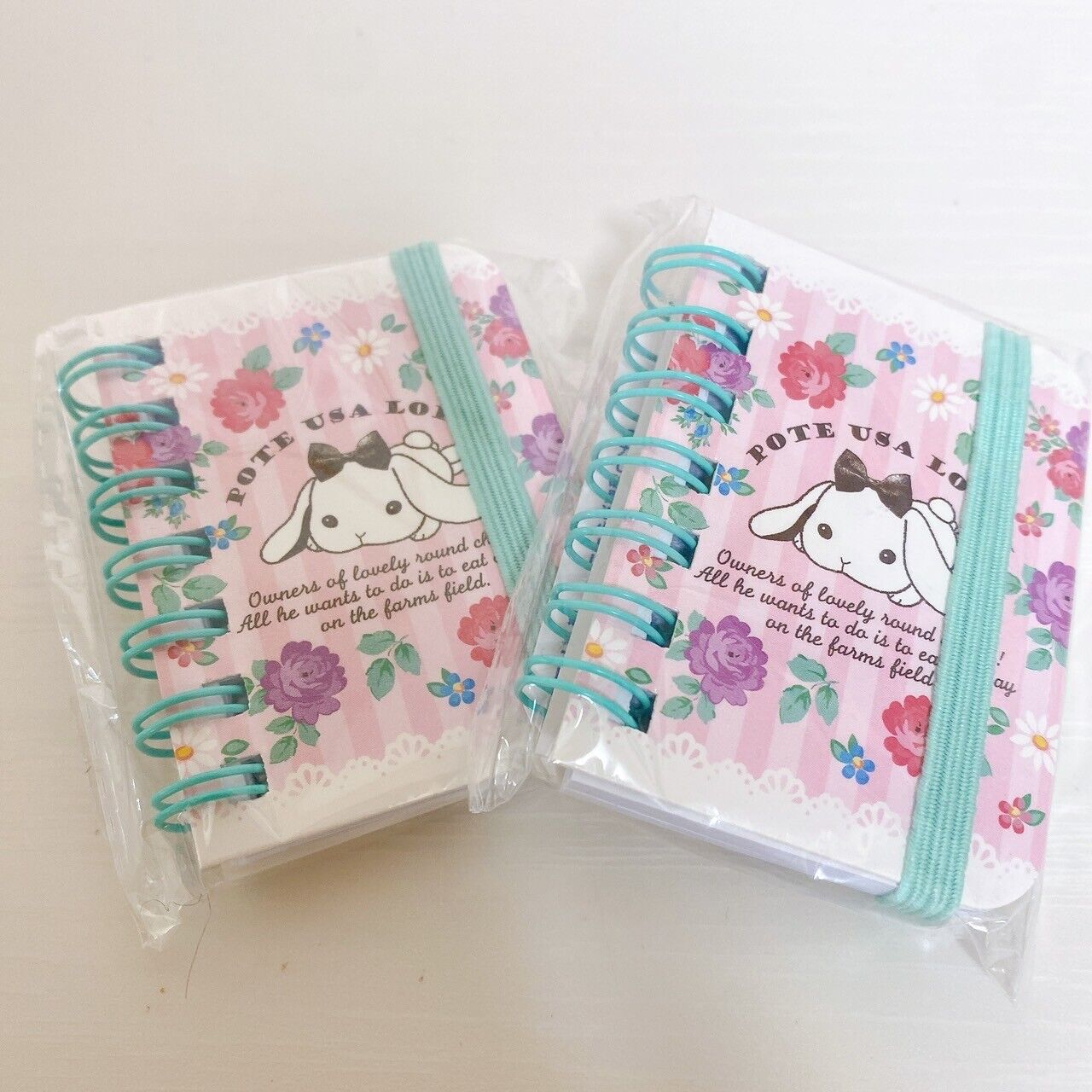 Poteusa Loppy Mini Note Set 3 Notepad Memo Lop Eared Rabbit Keyring Kawaii Rare