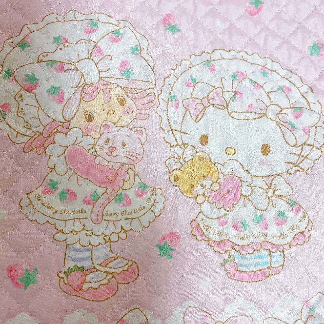 Sanrio Hello Kitty Strawberry Shortcake Lesson Tote Bag Pink Ribbon Character