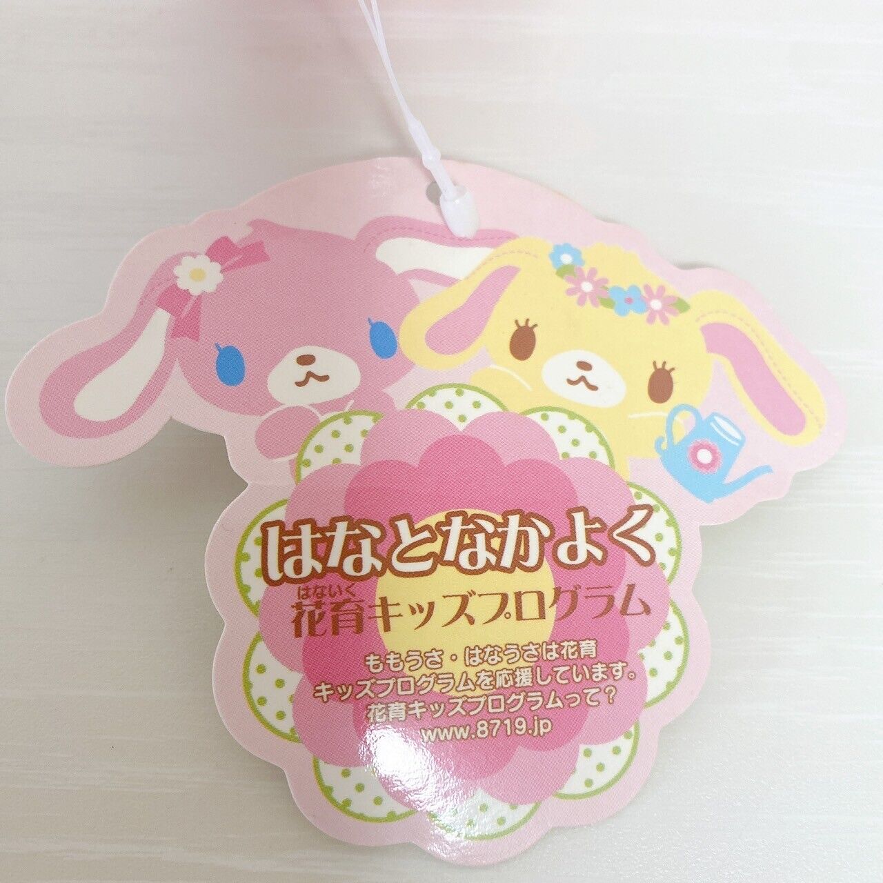 Sanrio Sugar Bunnies Pouch Hanausa Momousa Lace Pink Flower Kawaii Character