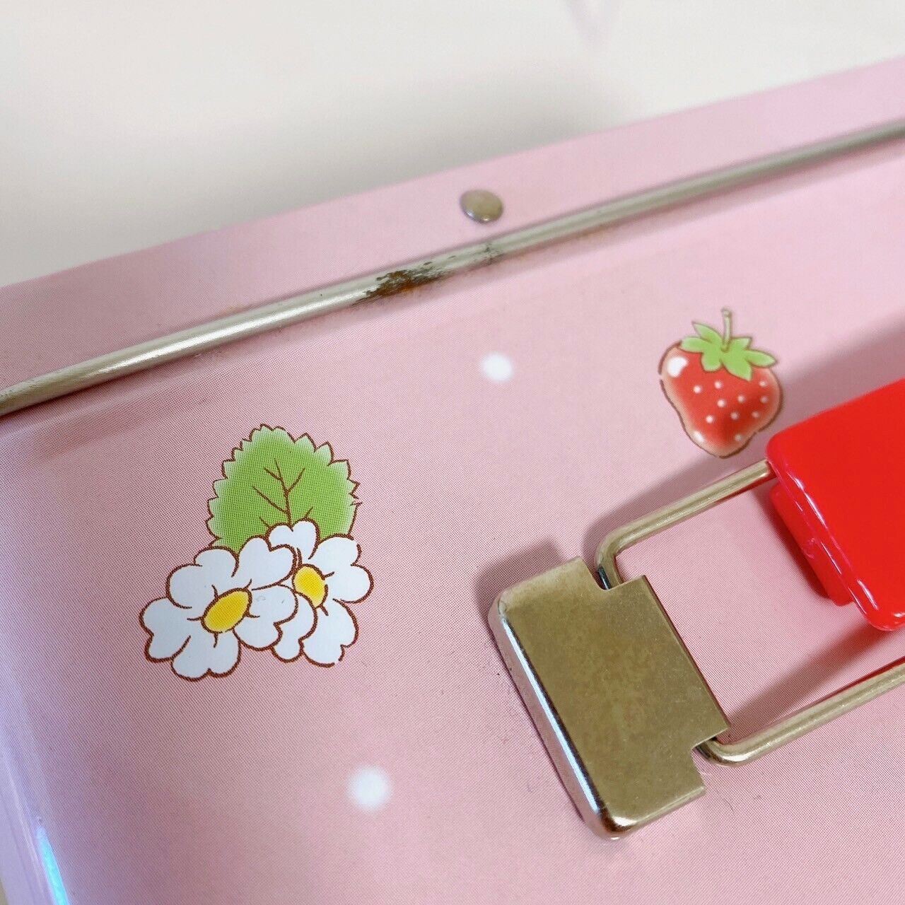 Sanrio Hello Kitty Strawberry Shortcake Trunk Can Case Box Pink Flower Red Rare