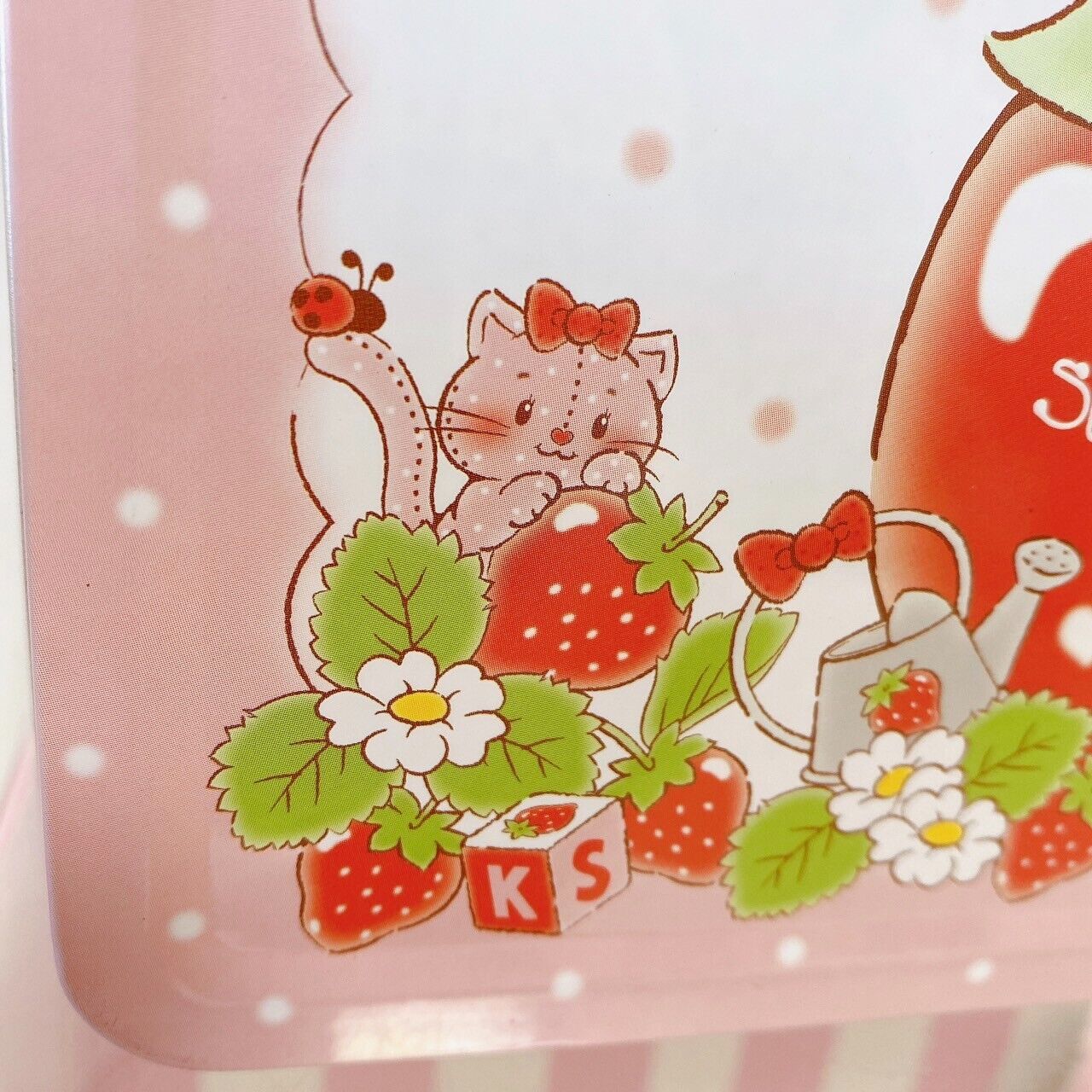 Sanrio Hello Kitty Strawberry Shortcake Trunk Can Case Box Pink Flower Red Rare