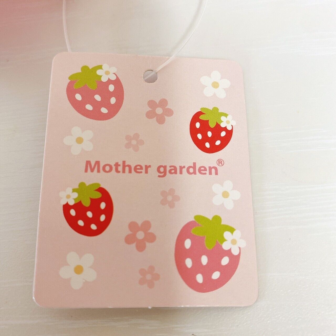 Mother Garden Aluminum Lunch Box Place Mat Set 2 Pink Ribbon Strawberry Frill