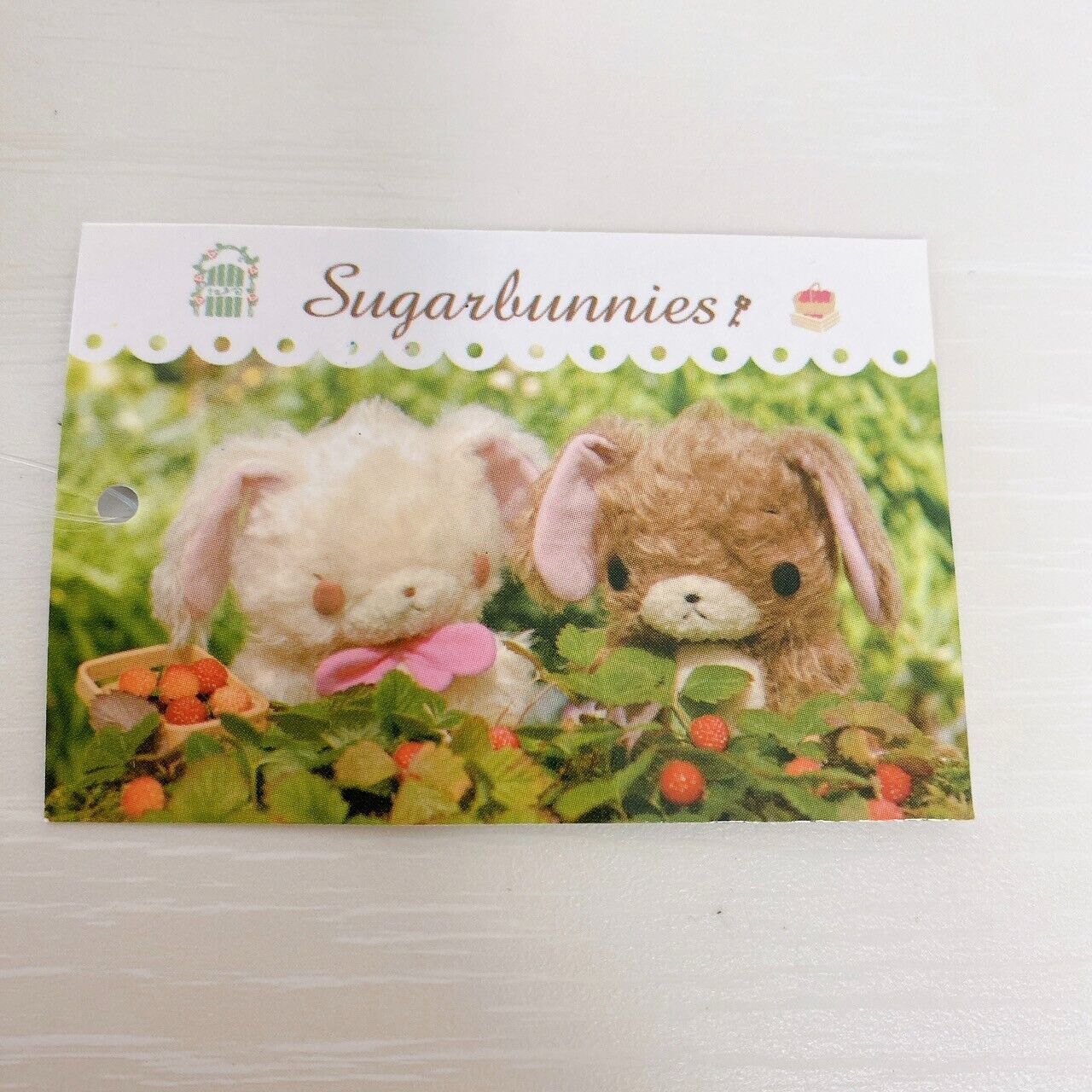 Sanrio Sugar Bunnies Pouch Photo Shirousa Kurousa Garden Rabbit Brown White Rare