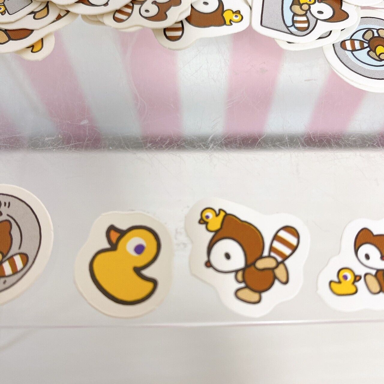 Sanrio Taraiguma no Laundry Sticker Set Stationery Bear Raccoon Kawaii Character