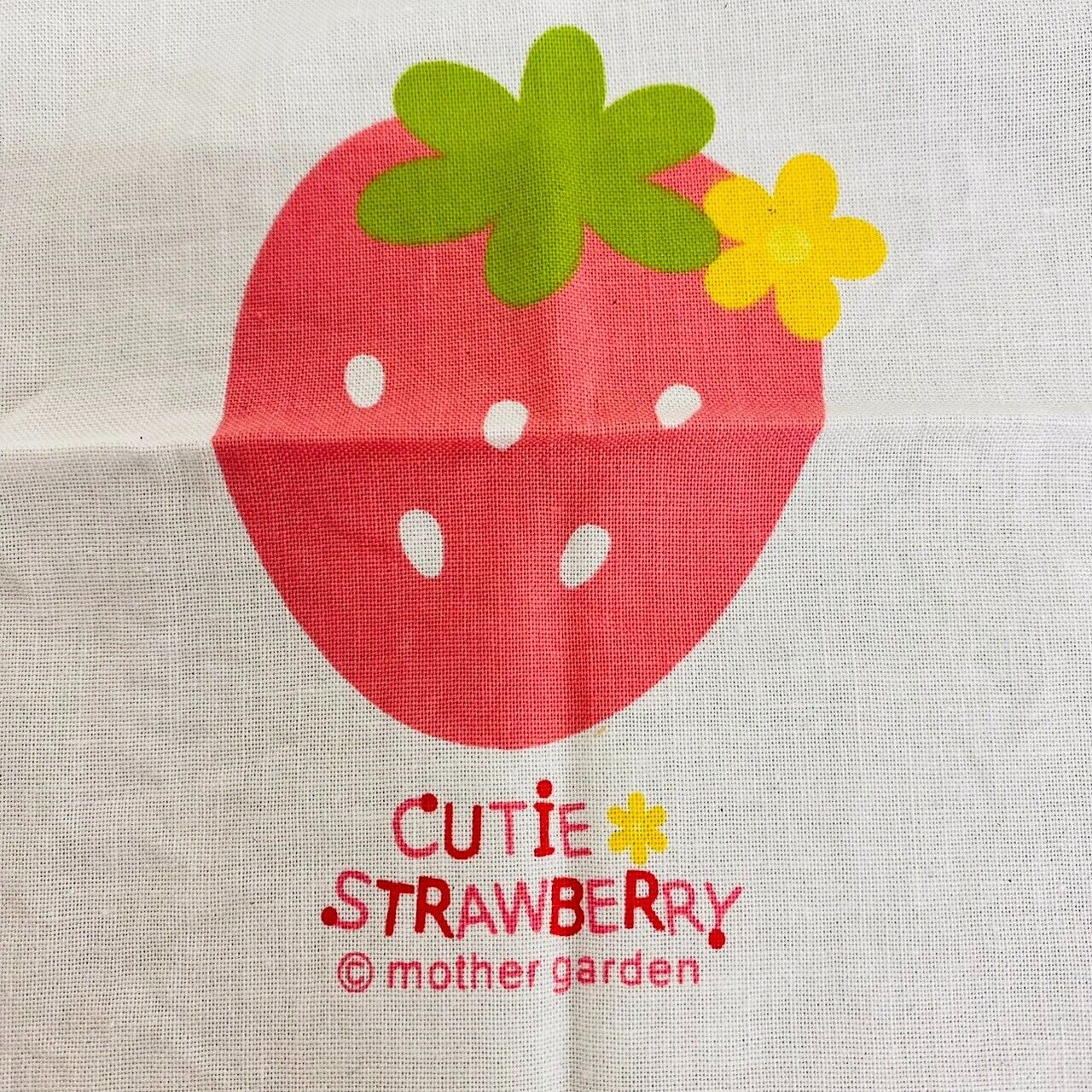 Mother Garden School Lunch Napkin Mat Set Strawberry Plaid Flower Kawaii Rare