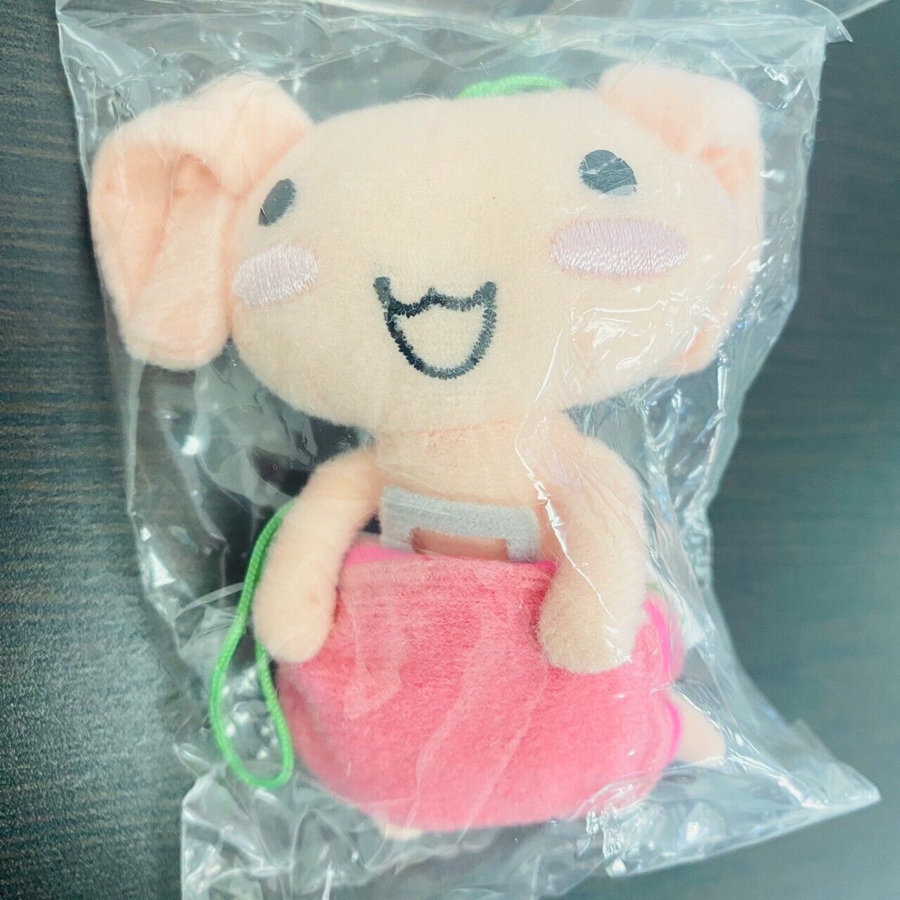 Dokodemo Issho Issyo Flavor Mascot Strap Complete Set 5 Plush Doll Toy Toro Rare